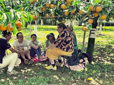 Pear Picking Tour