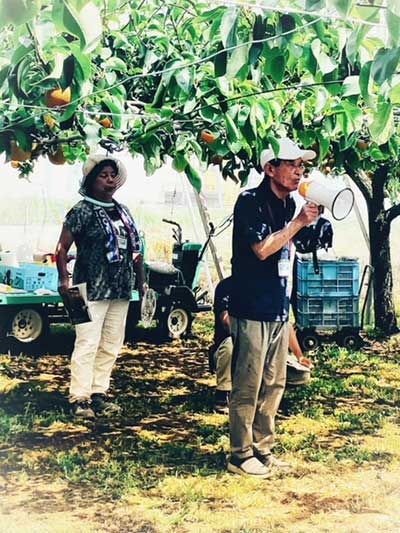 Pear Picking Tour