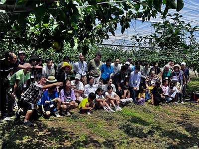 Pear Picking Tour