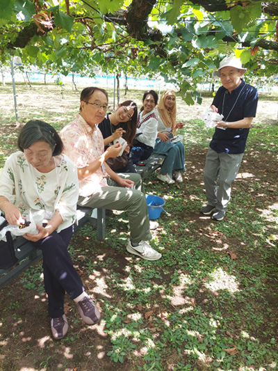ぶどう狩りツアー
