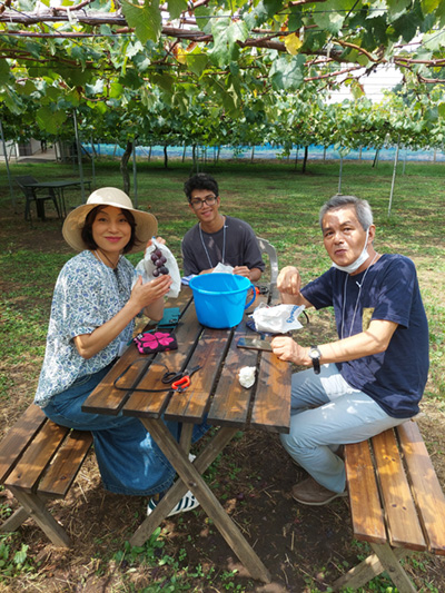 ぶどう狩りツアー