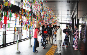 千葉県印西市国際交流活動